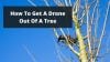 How to Get a Drone out of a Tree